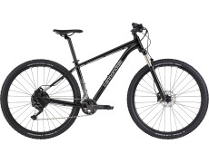 Велосипед 29" Cannondale TRAIL 5 рама - XL 2023 GRA (європейська комплектація)