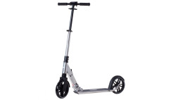 Самокат Rideoo 200 City Silver