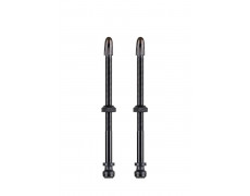 Вентиль Schwalbe для безкамерних ободів, 100mm (2 шт)