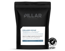 Восстановитель колагена PILLAR Performance 260г
